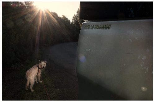 La vida empieza de nuevo