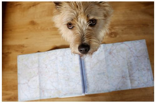 Un futuro improbable