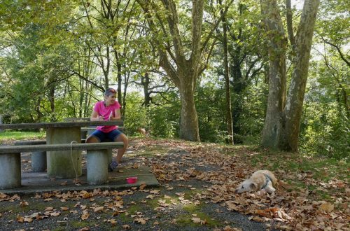 Deambulo luego pienso