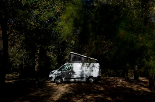 Nada que salvaguardar